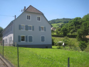 Gite en pleine verdure au coeur du village Lapoutroie